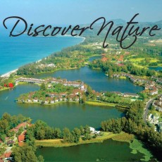 Discover Nature