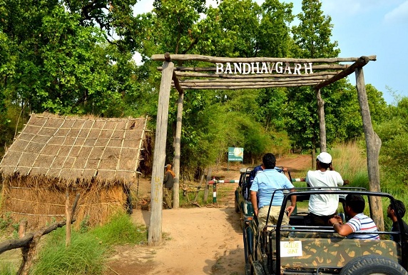bandhavgarh